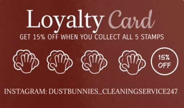 Professional home cleaner Professional home cleaner